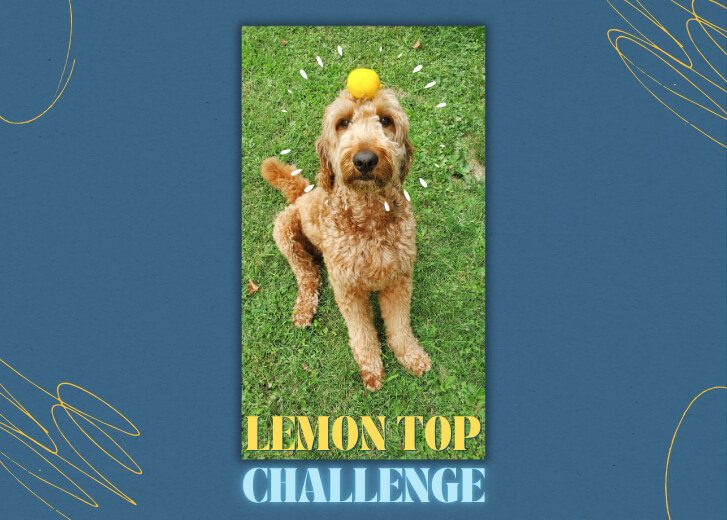 Lemon top challenge